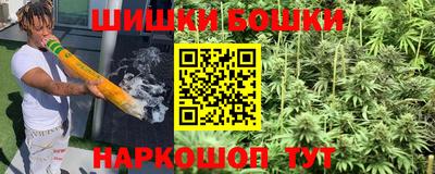МДПВ Бийск